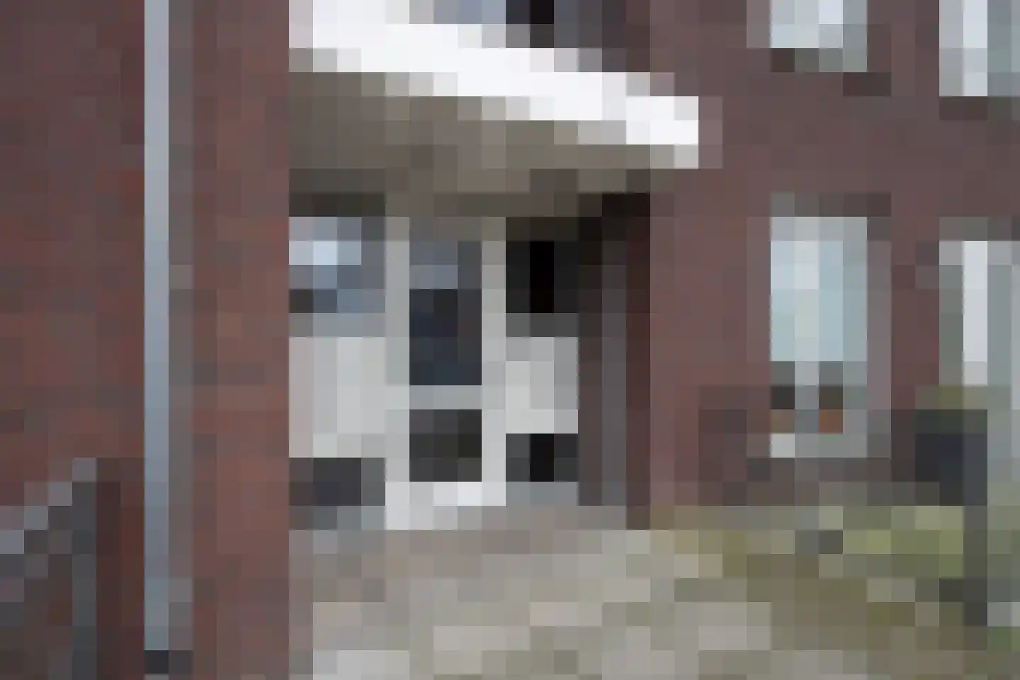 Martien Coppensstraat 18 Lieshout foto 3