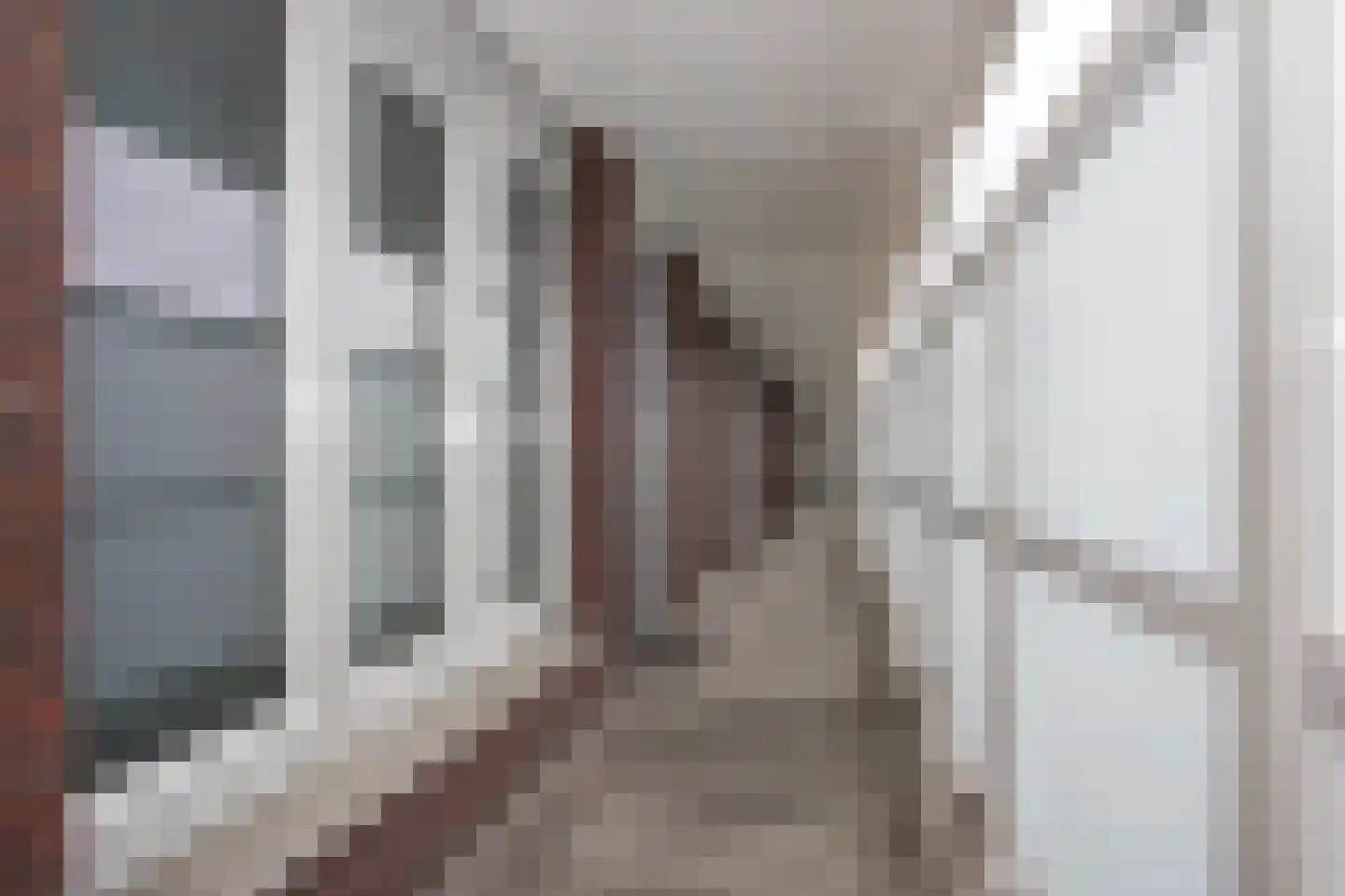 Martien Coppensstraat 18 Lieshout thumbnail 7