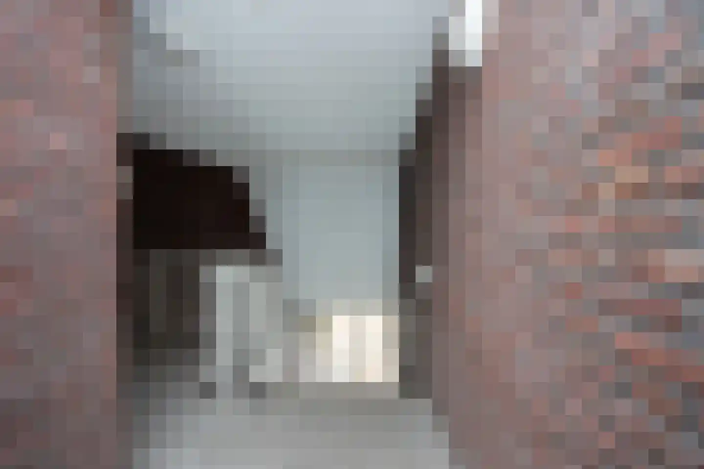 Martien Coppensstraat 22 Lieshout thumbnail 5