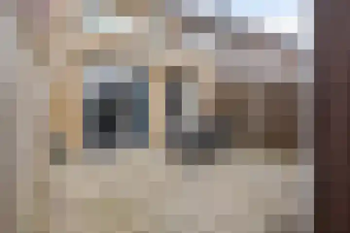 Martien Coppensstraat 8 Waalwijk thumbnail 30
