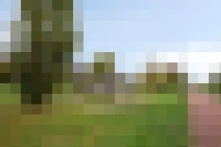 Martien Coppensstraat 8 Waalwijk thumbnail 32