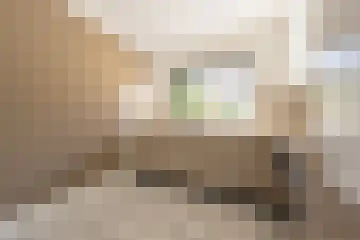 Martin Luther Kingerf 13 Oud-Beijerland thumbnail 12