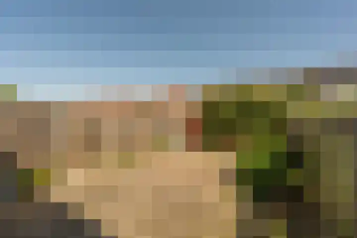 Martin Luther Kingerf 13 Oud-Beijerland thumbnail 24