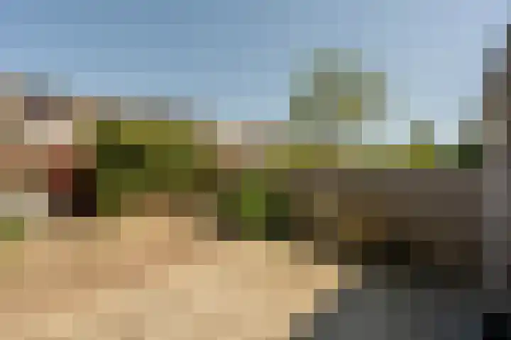 Martin Luther Kingerf 13 Oud-Beijerland thumbnail 25
