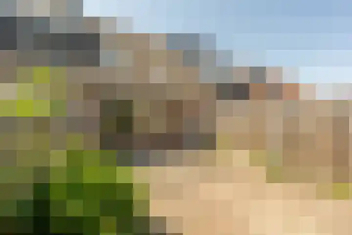 Martin Luther Kingerf 13 Oud-Beijerland thumbnail 26