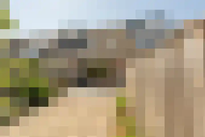 Martin Luther Kingerf 13 Oud-Beijerland thumbnail 4