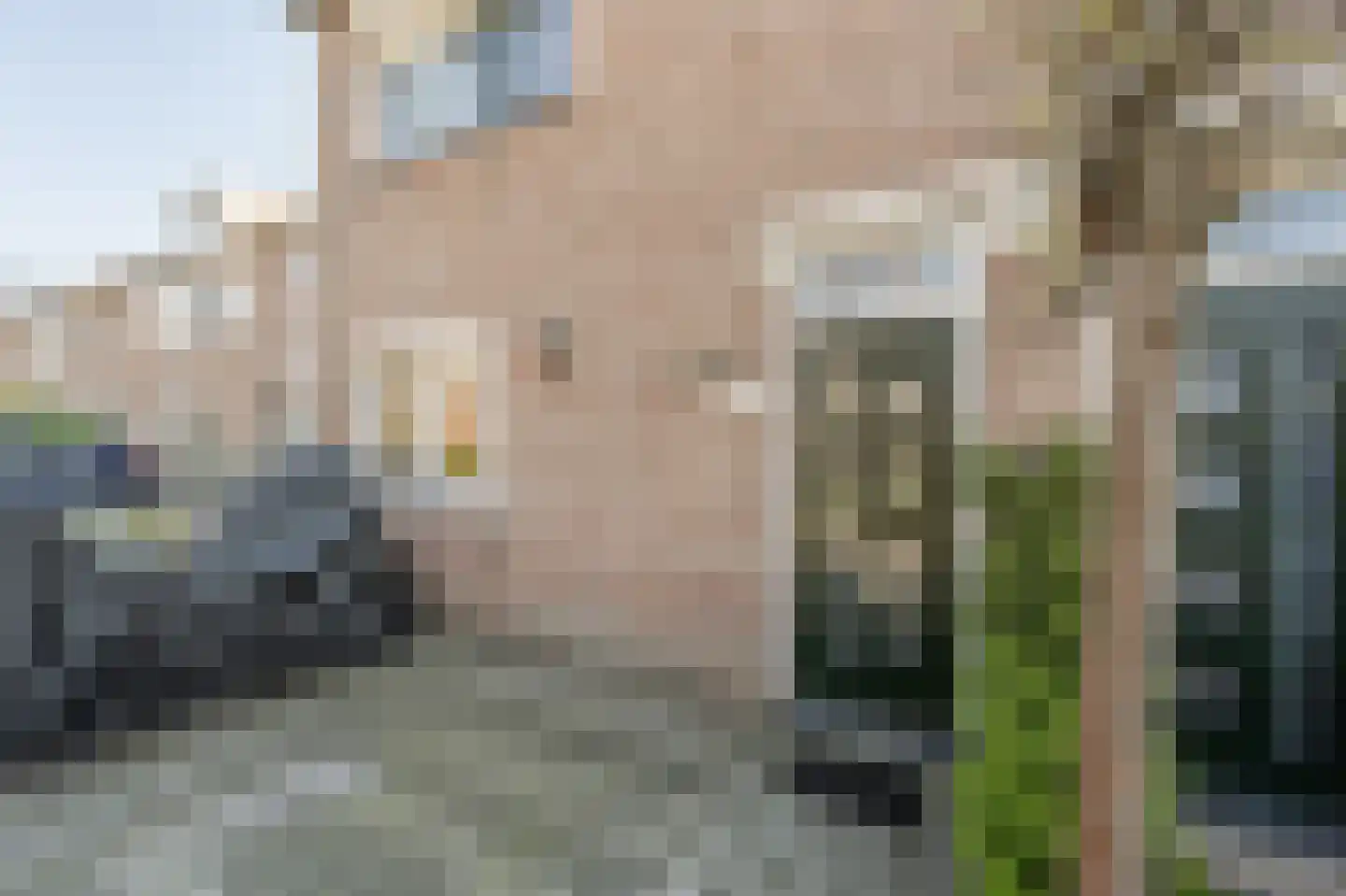 Martin Luther Kingerf 23 Oud-Beijerland foto 2