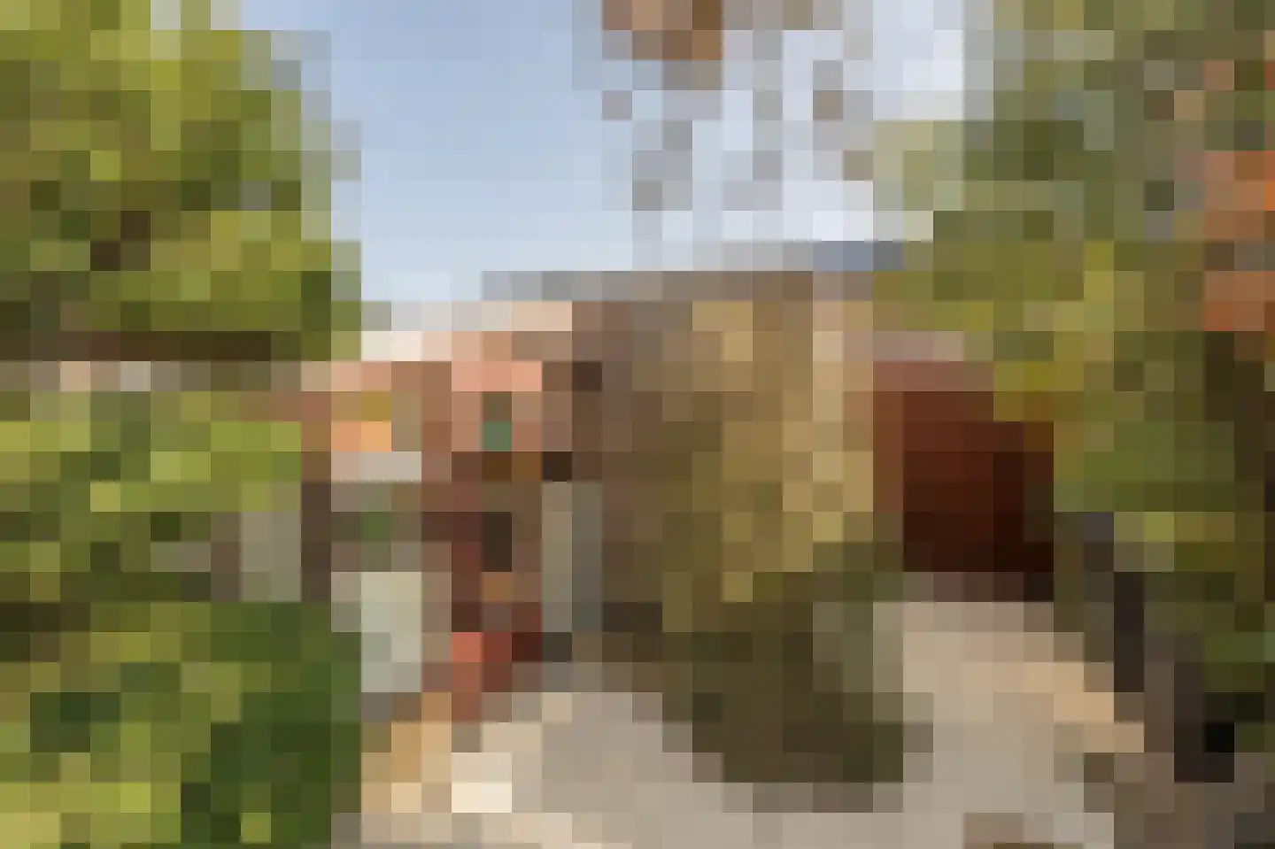 Martin Luther Kingerf 23 Oud-Beijerland thumbnail 31