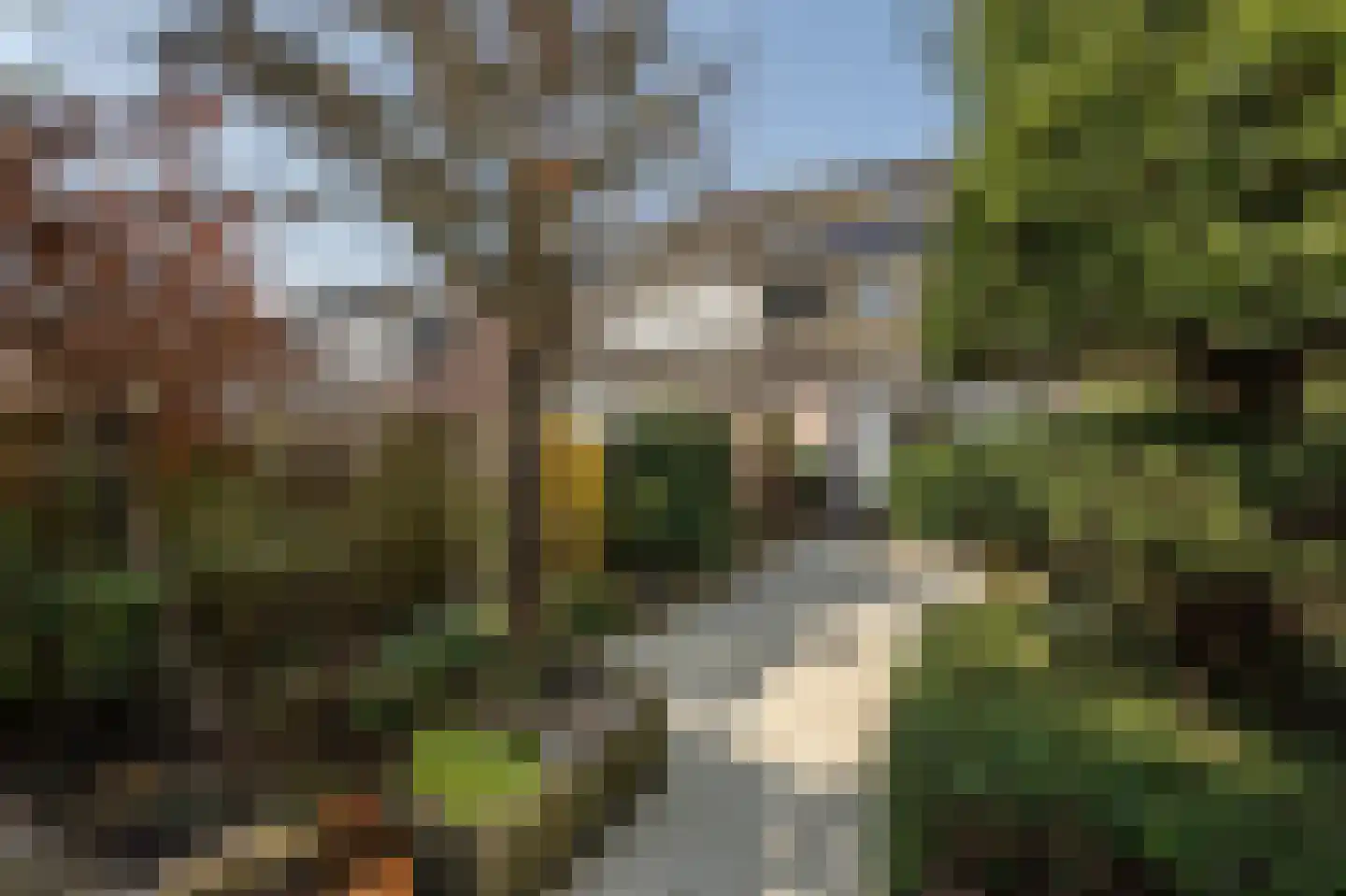 Martin Luther Kingerf 23 Oud-Beijerland thumbnail 33