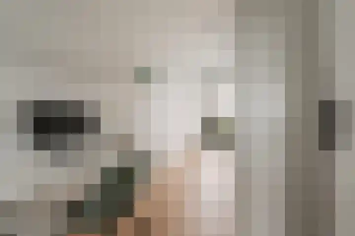 Martin Luther Kinglaan 104 Diemen thumbnail 22