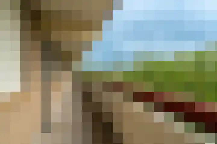 Martin Luther Kinglaan 104 Diemen thumbnail 35