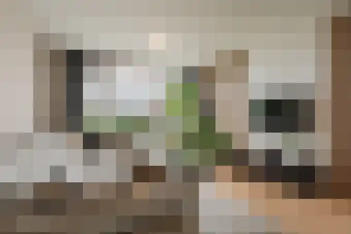 Martin Luther Kinglaan 104 Diemen thumbnail 9