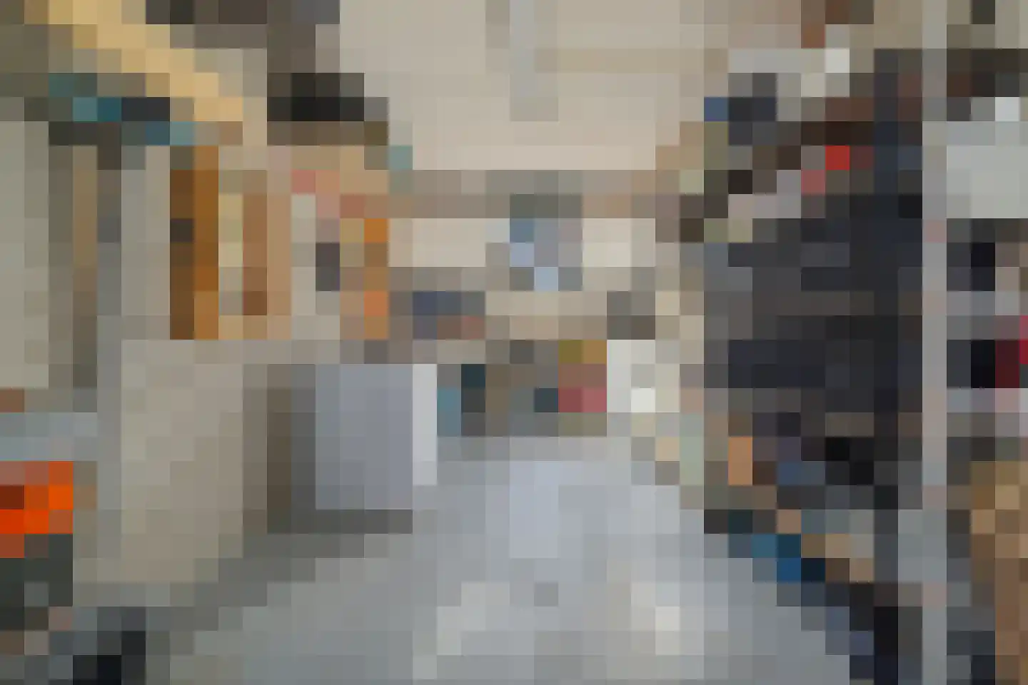 Martin Luther Kinglaan 105 Castricum thumbnail 37