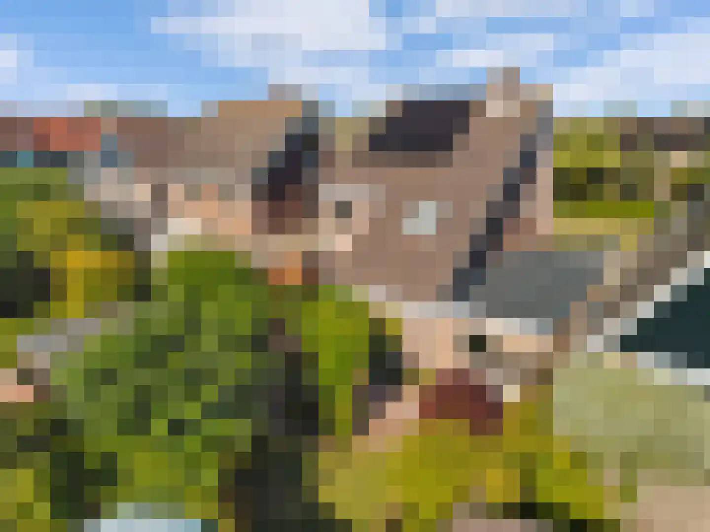 Martin Luther Kinglaan 105 Castricum thumbnail 38