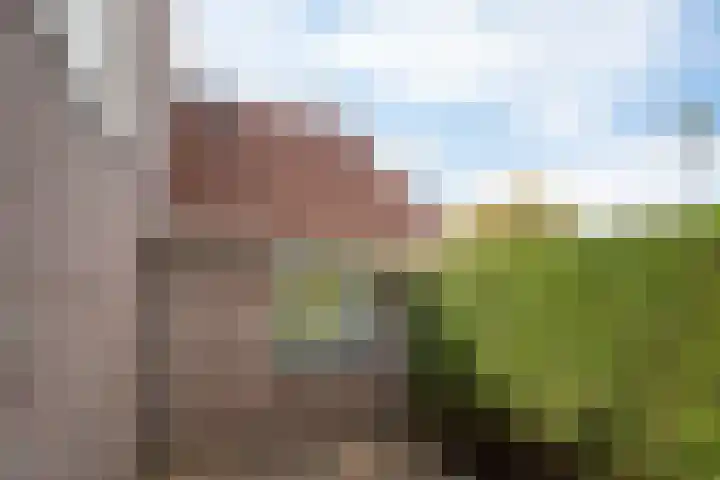Martin Luther Kinglaan 111 Castricum thumbnail 14