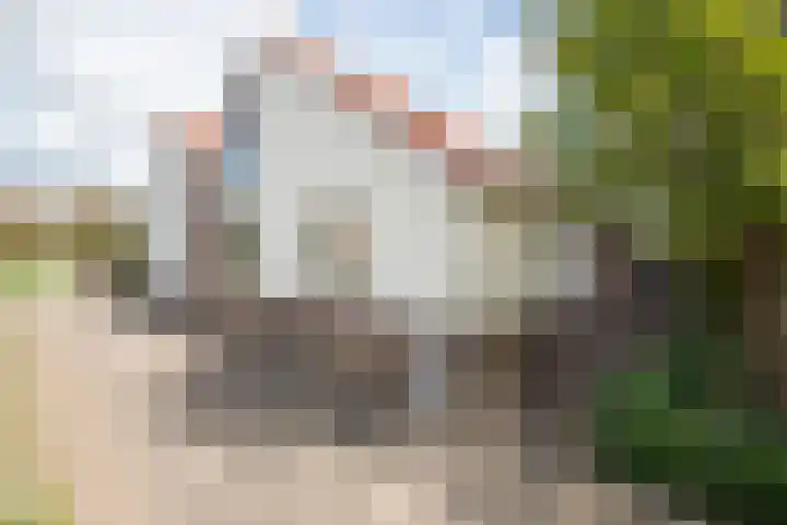 Martin Luther Kinglaan 111 Castricum thumbnail 15