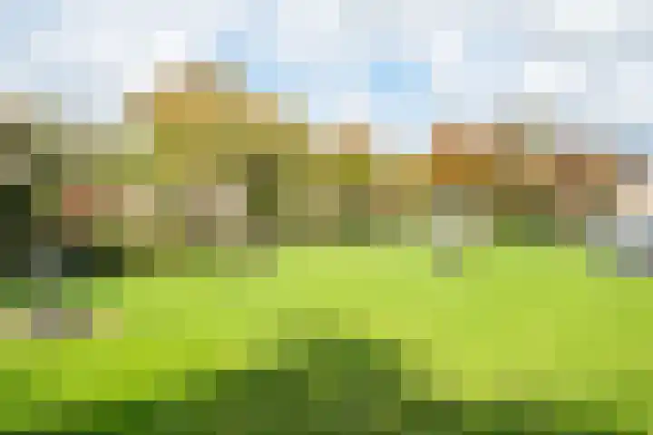 Martin Luther Kinglaan 111 Castricum thumbnail 18