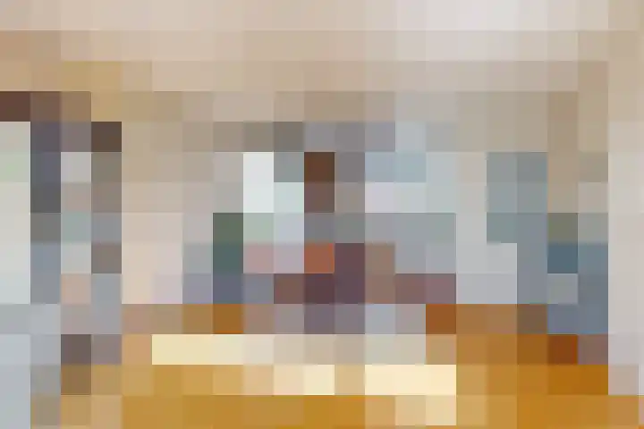 Martin Luther Kinglaan 113 Castricum thumbnail 14