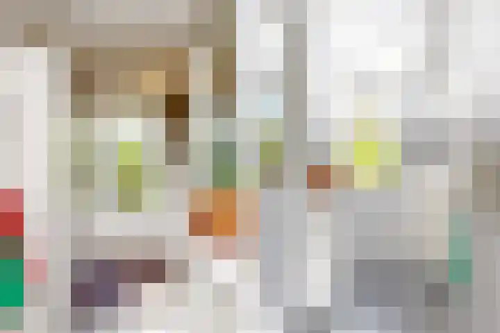 Martin Luther Kinglaan 113 Castricum thumbnail 19