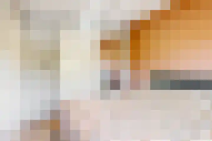 Martin Luther Kinglaan 113 Castricum thumbnail 24