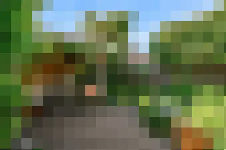 Martin Luther Kinglaan 113 Castricum thumbnail 39