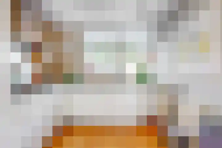 Martin Luther Kinglaan 113 Castricum thumbnail 4