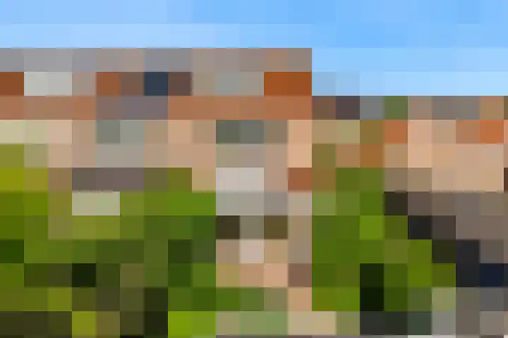 Martin Luther Kinglaan 113 Castricum thumbnail 43