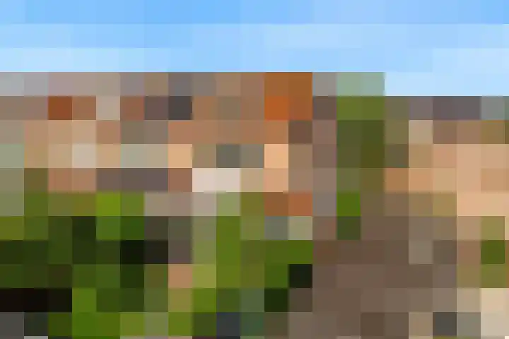 Martin Luther Kinglaan 113 Castricum thumbnail 44