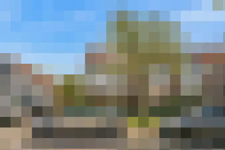 Martin Luther Kinglaan 113 Castricum thumbnail 46