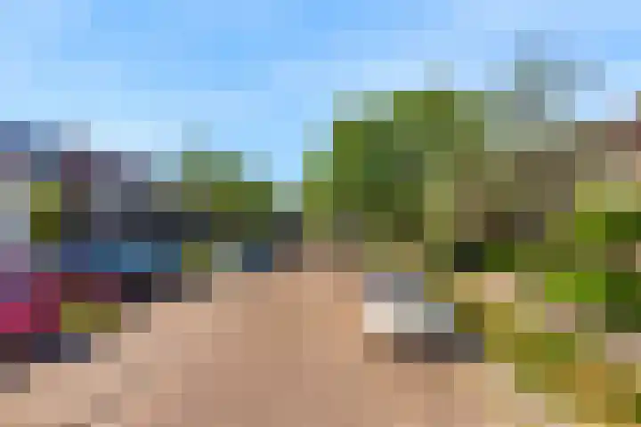 Martin Luther Kinglaan 113 Castricum thumbnail 48