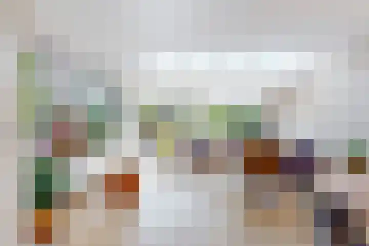 Martin Luther Kinglaan 113 Castricum thumbnail 9