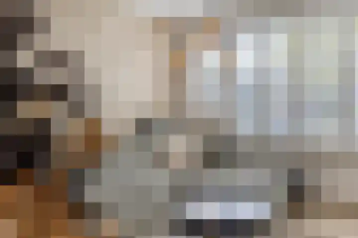 Martin Luther Kinglaan 118 Hellevoetsluis thumbnail 15
