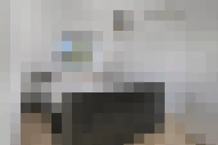 Martin Luther Kinglaan 118 Hellevoetsluis thumbnail 23