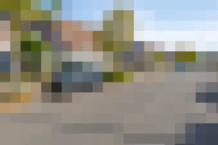 Martin Luther Kinglaan 118 Hellevoetsluis thumbnail 4