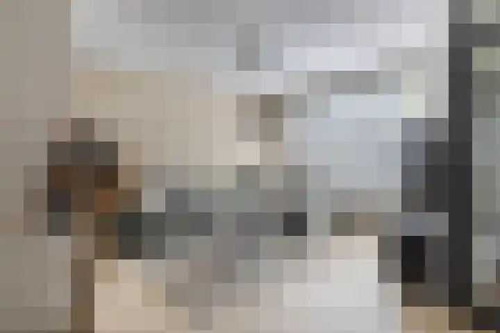 Martin Luther Kinglaan 118 Hellevoetsluis thumbnail 5