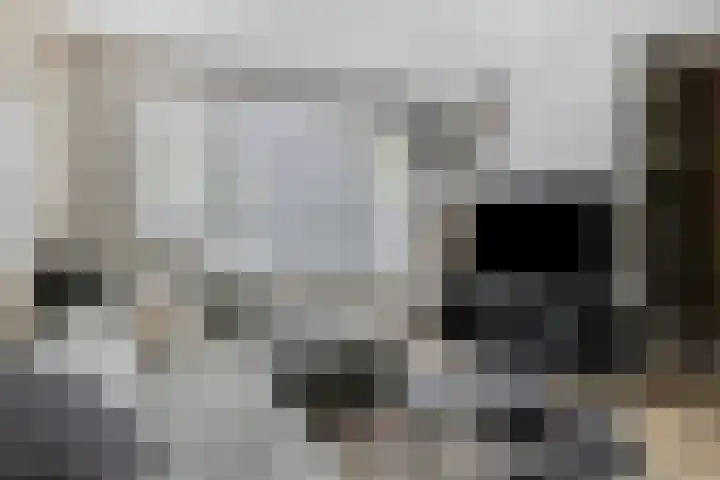 Martin Luther Kinglaan 118 Hellevoetsluis thumbnail 7