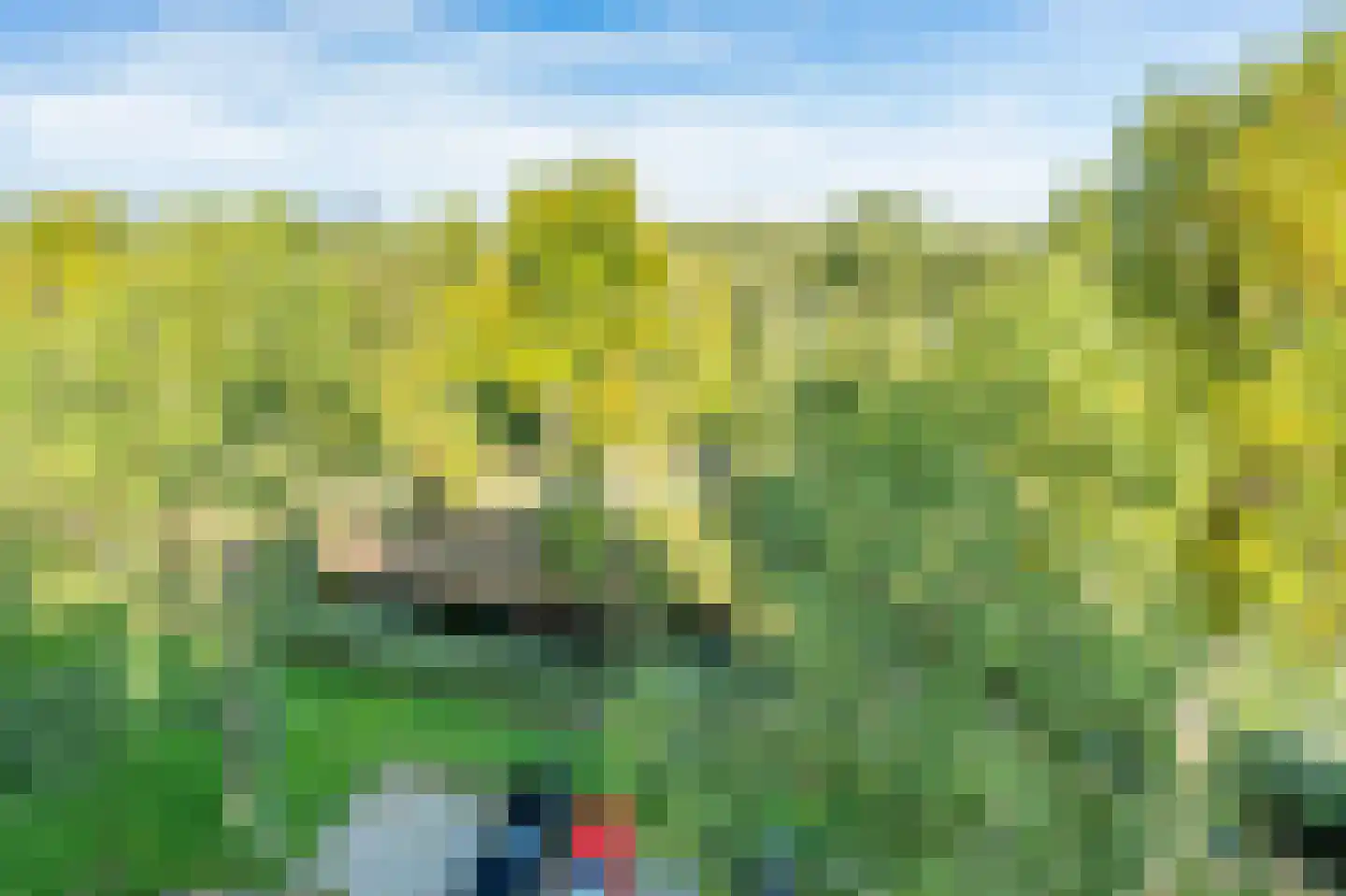 Martin Luther Kinglaan 120 Diemen thumbnail 37