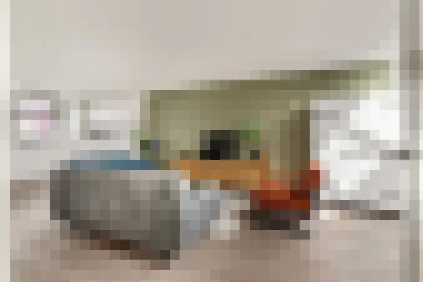 Martin Luther Kinglaan 121 Castricum thumbnail 13
