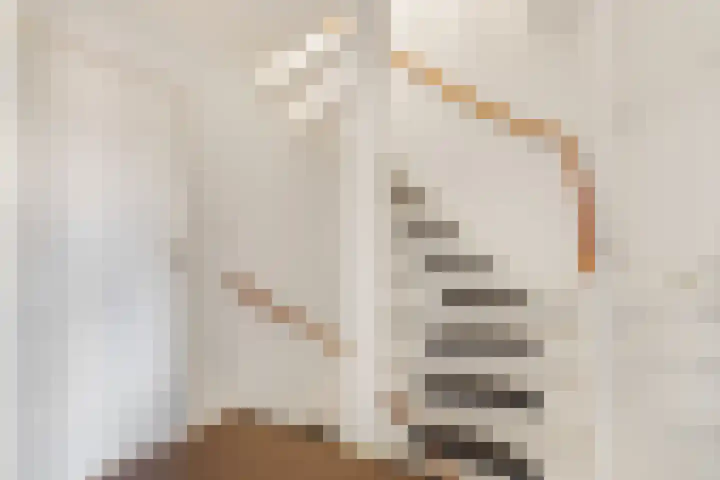 Martin Luther Kinglaan 121 Castricum thumbnail 23