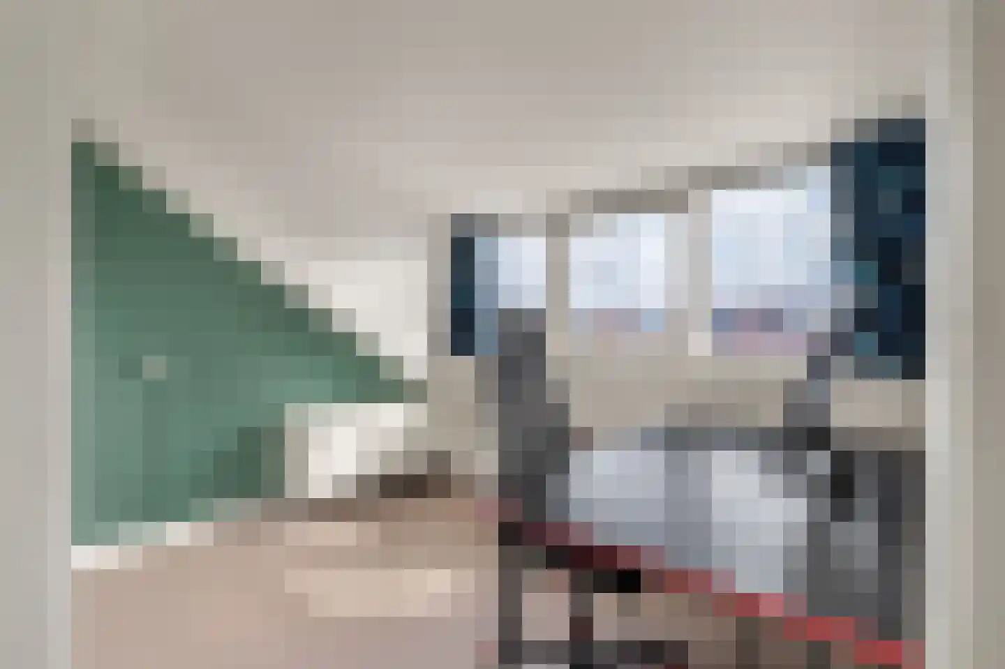 Martin Luther Kinglaan 121 Castricum thumbnail 39