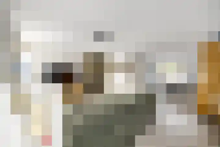 Martin Luther Kinglaan 135 Hellevoetsluis thumbnail 20