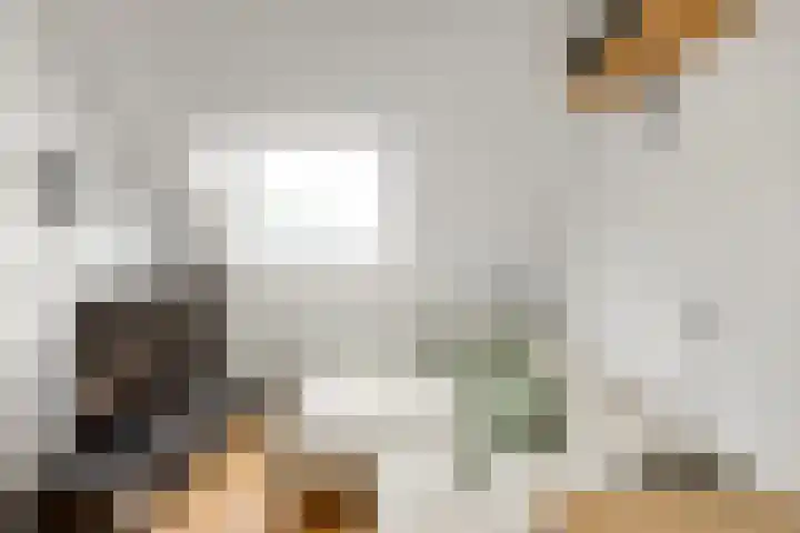 Martin Luther Kinglaan 135 Hellevoetsluis thumbnail 43