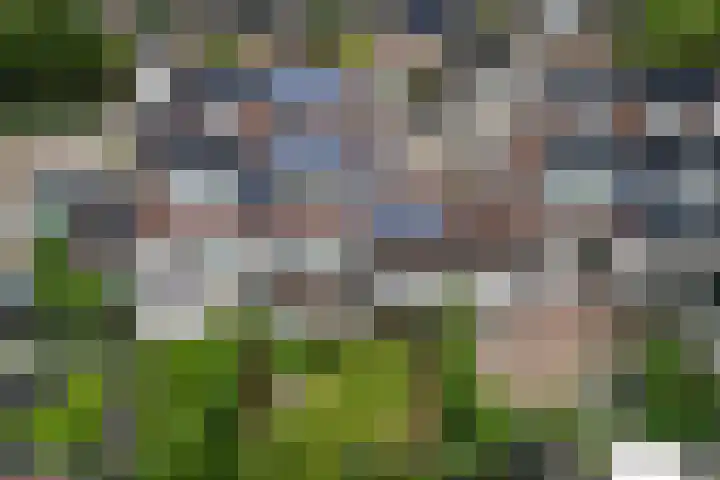 Martin Luther Kinglaan 135 Hellevoetsluis thumbnail 45