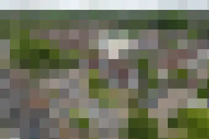 Martin Luther Kinglaan 135 Hellevoetsluis thumbnail 6