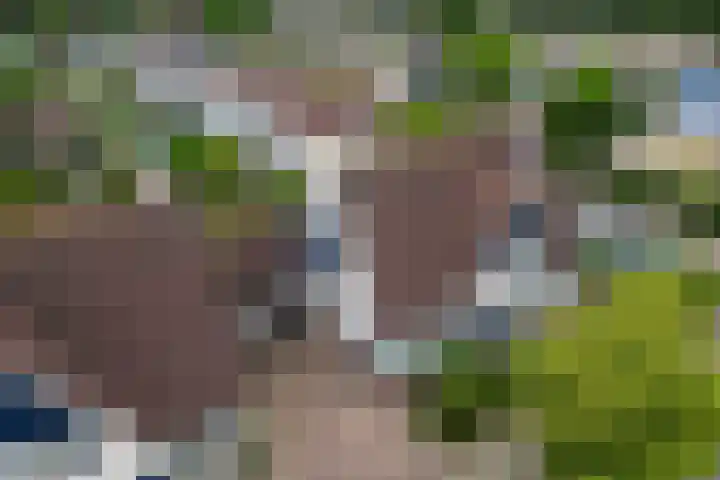 Martin Luther Kinglaan 135 Hellevoetsluis thumbnail 7