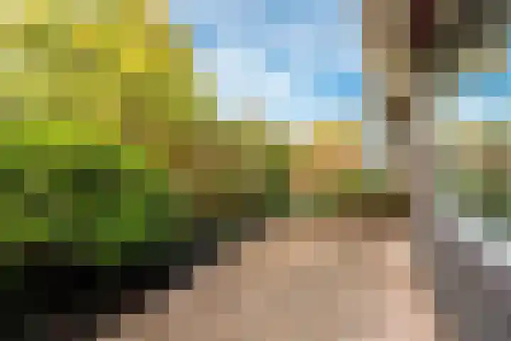 Martin Luther Kinglaan 136 Diemen thumbnail 22