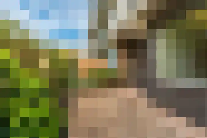 Martin Luther Kinglaan 136 Diemen thumbnail 23