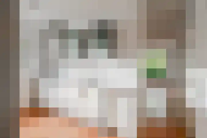 Martin Luther Kinglaan 136 Diemen thumbnail 29