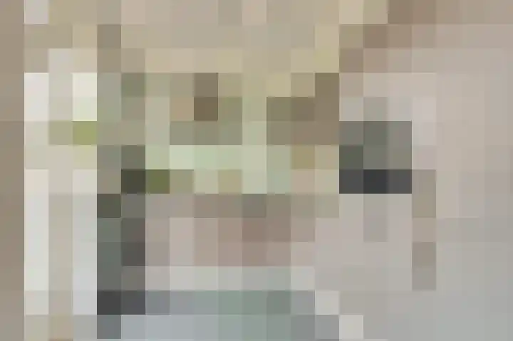 Martin Luther Kinglaan 136 Goirle thumbnail 17