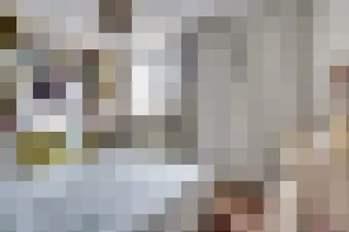 Martin Luther Kinglaan 136 Goirle thumbnail 23